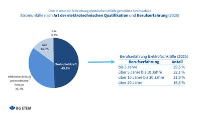 Stromunfälle nach Art der elektrotechnischen Qualifikation