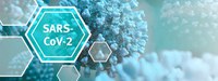 Weltweit breitet sich das neue Coronavirus SARS-CoV-2 aus. Aktuelle Informationen zum Virus sowie zu Präventions- und Bekämpfungsmaßnahmen.