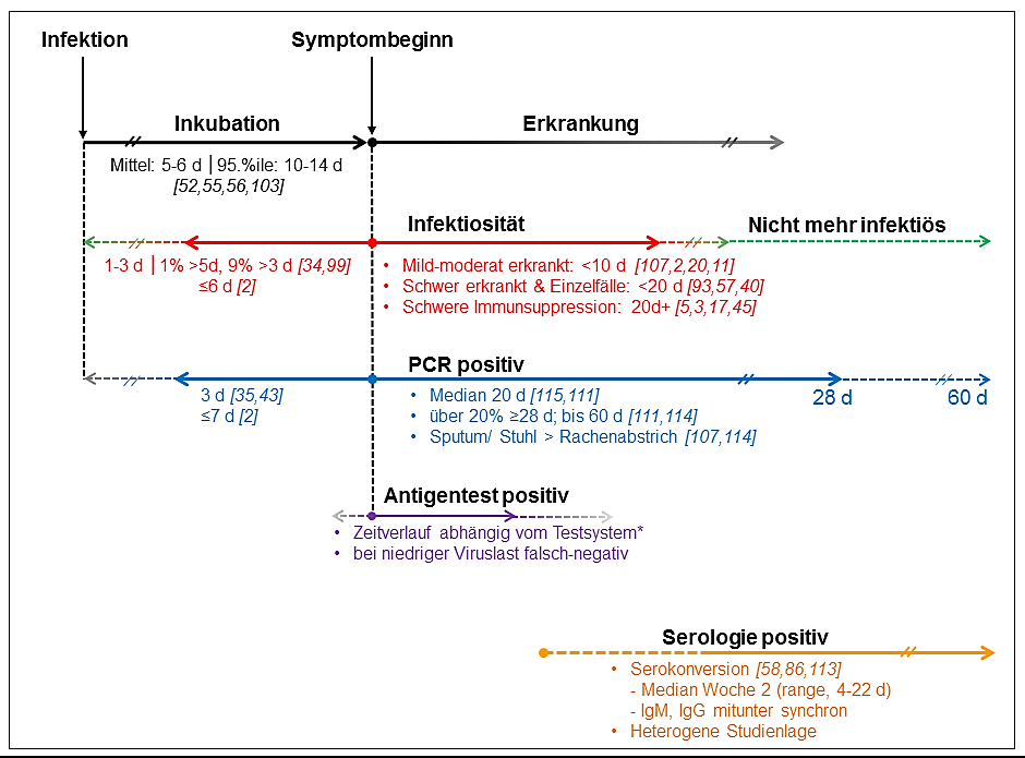 Nachweis von SARS-CoV-2 Virus im zeitlichen Verlauf