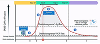 Grafik in Anlehnung an: Cevik et al. Severe Acute Respiratory Syndrome Coronavirus 2 (SARS CoV-2) Transmission Dynamics Should Inform Policy