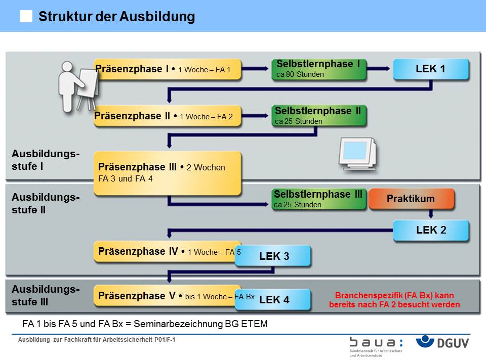 Struktur der Sifa-Ausbildung